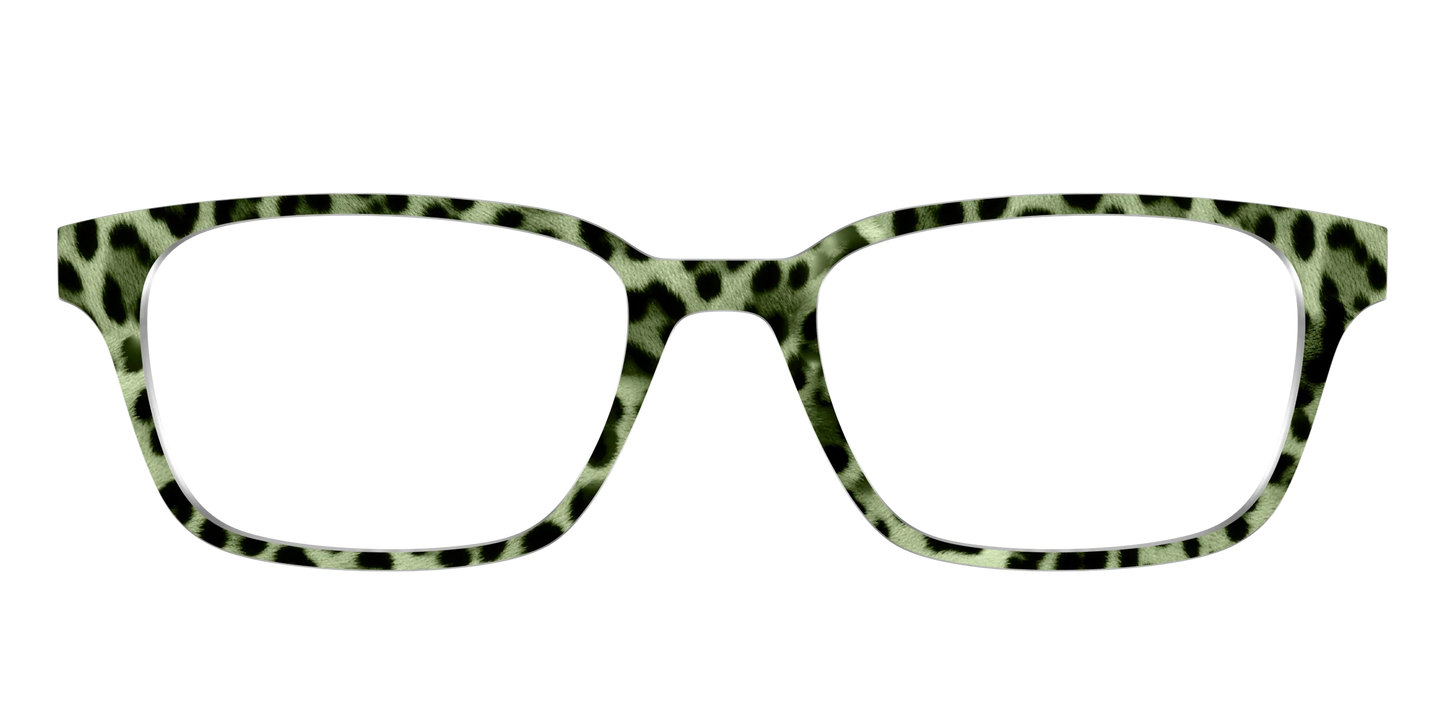 The Lucky Leopard