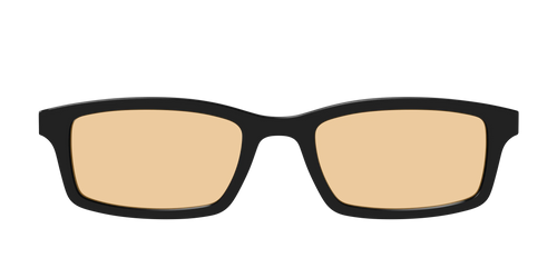 The Black With Umber Brown Lens