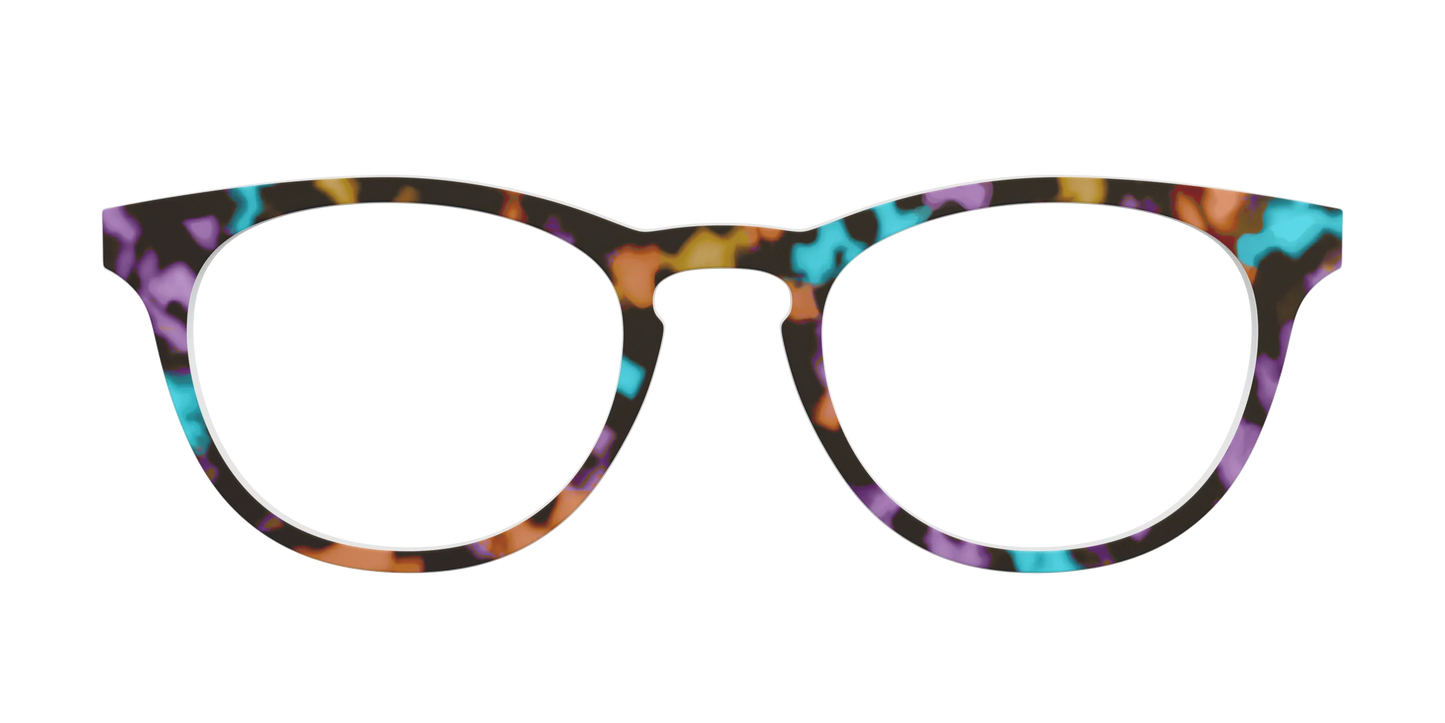 The Summer Tortoise
