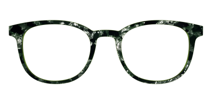 The Olive Pearl Tortoise