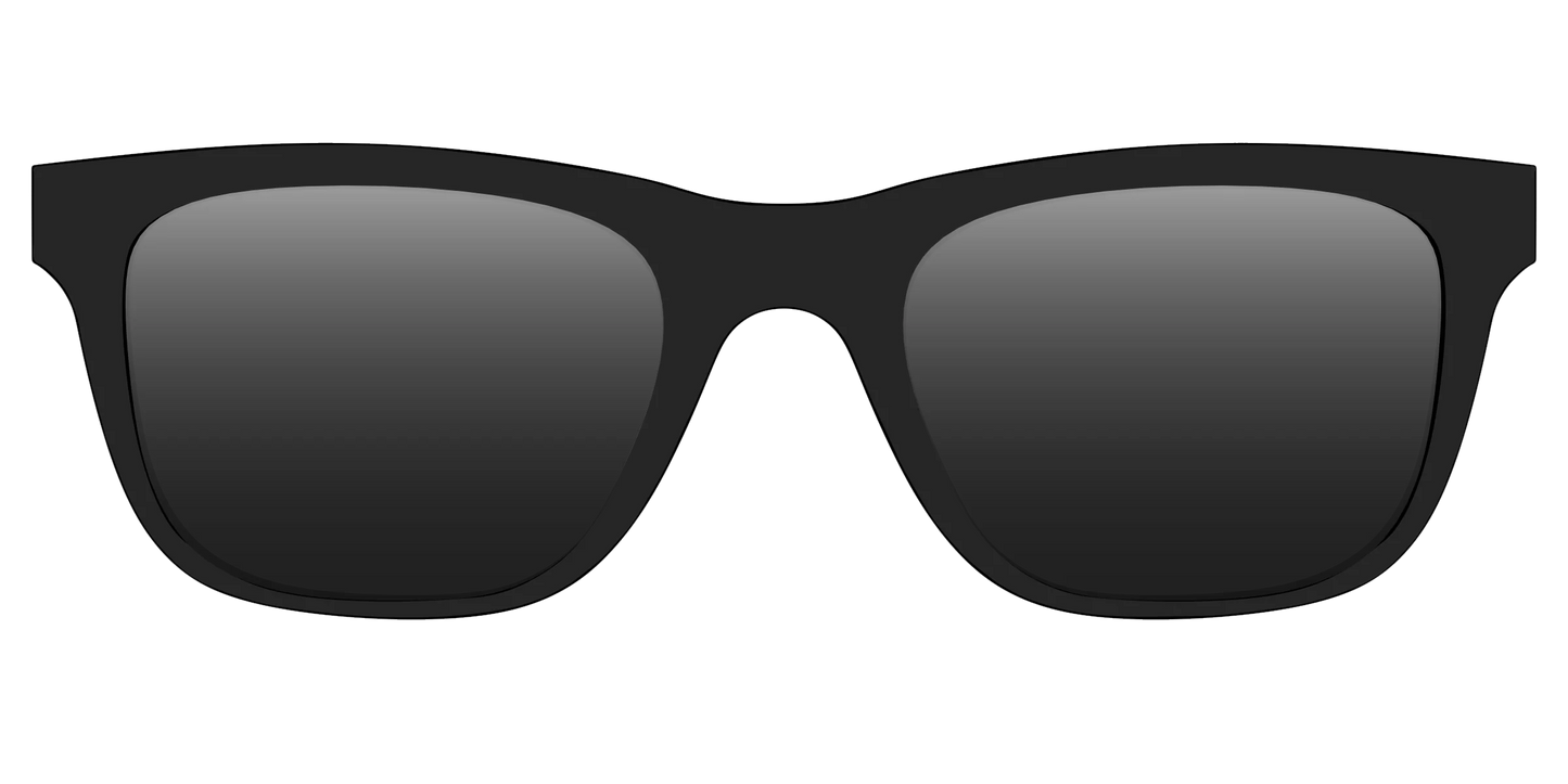 The Polarized Black Sun Top