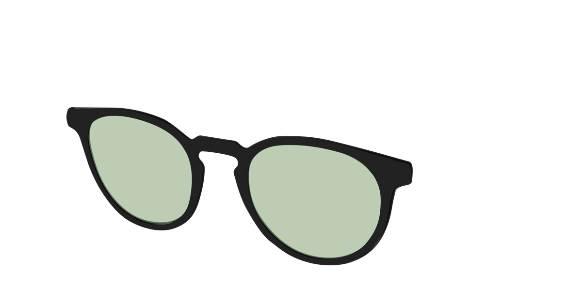 The Black With Sage Green Lens