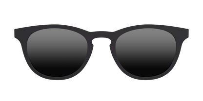 The Polarized Black Sun Top