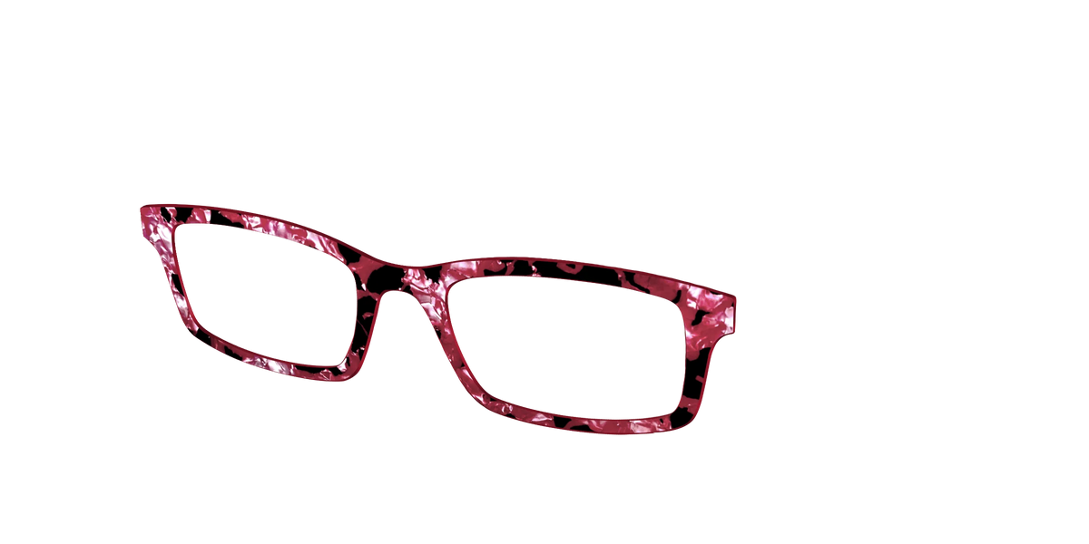 The Raspberry Pearl Tortoise