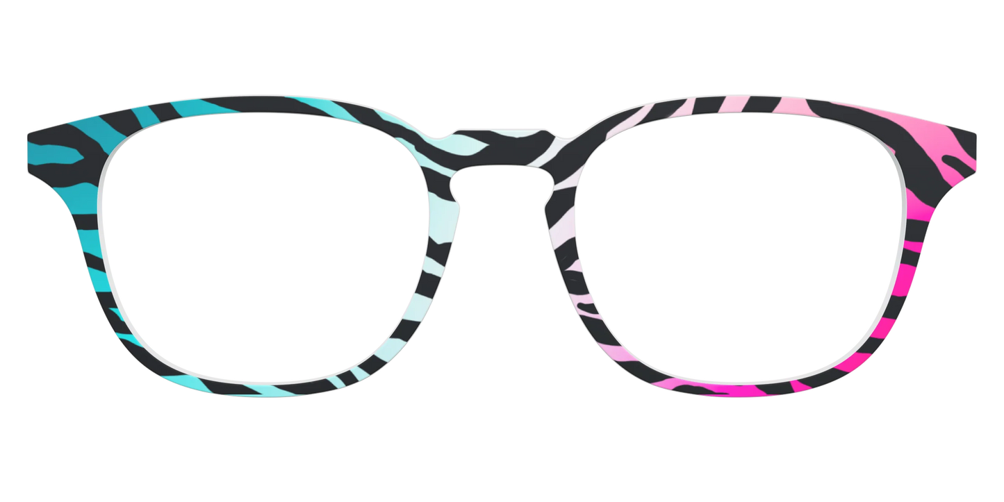 The Rainbow Zebra