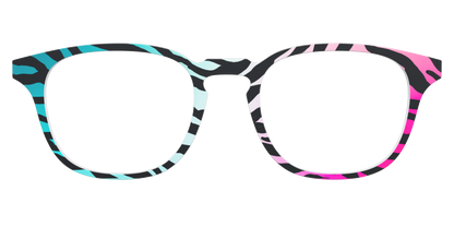 The Rainbow Zebra