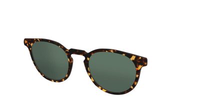 The Non-Polarized Green Tortoise Sun Top