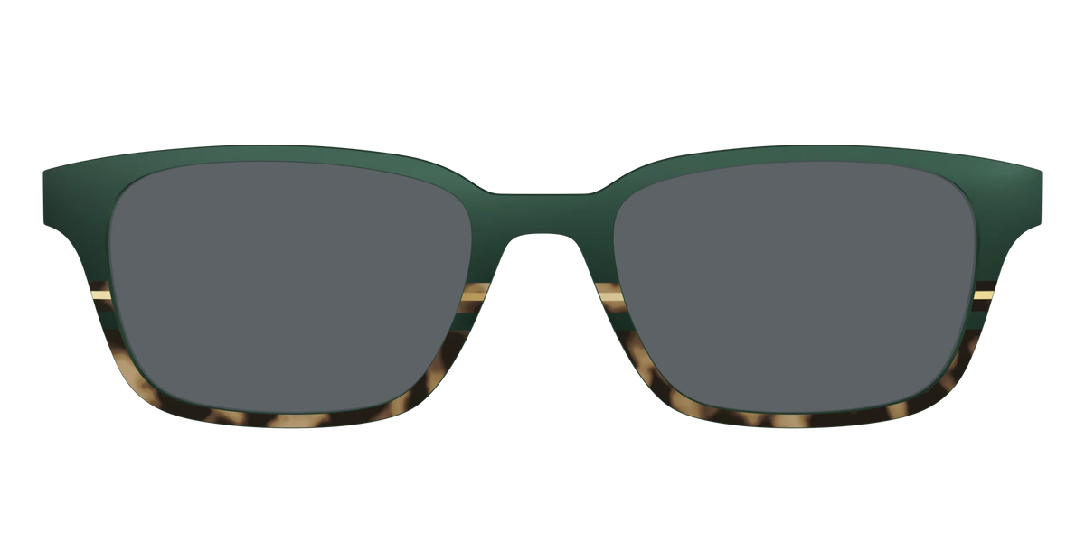 The Polarized Spruce Tortoise Sun Top