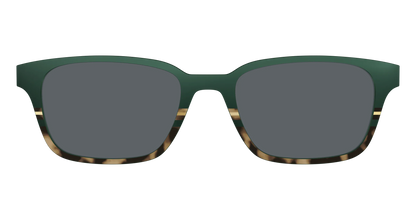 The Polarized Spruce Tortoise Sun Top