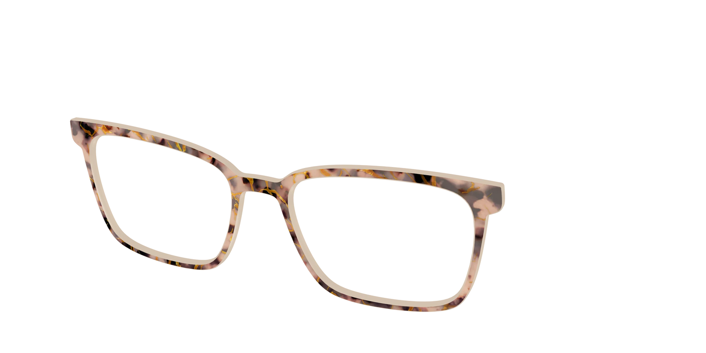 The Almond Tortoise with Gold Streaks