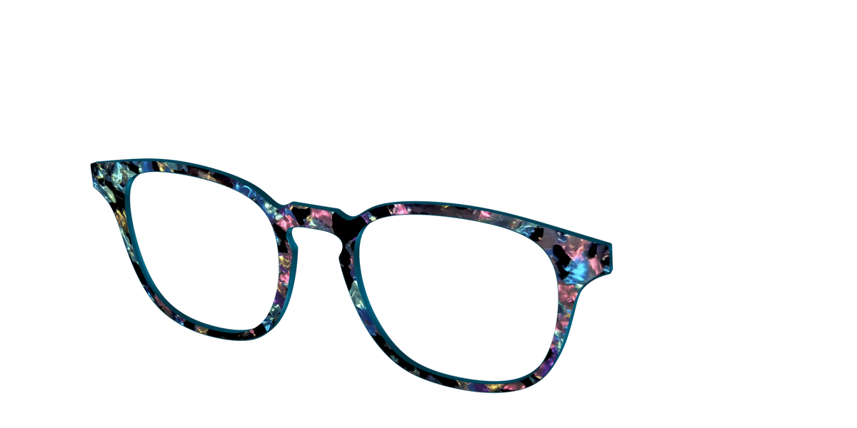 The Black Prismatic Pearl Tortoise