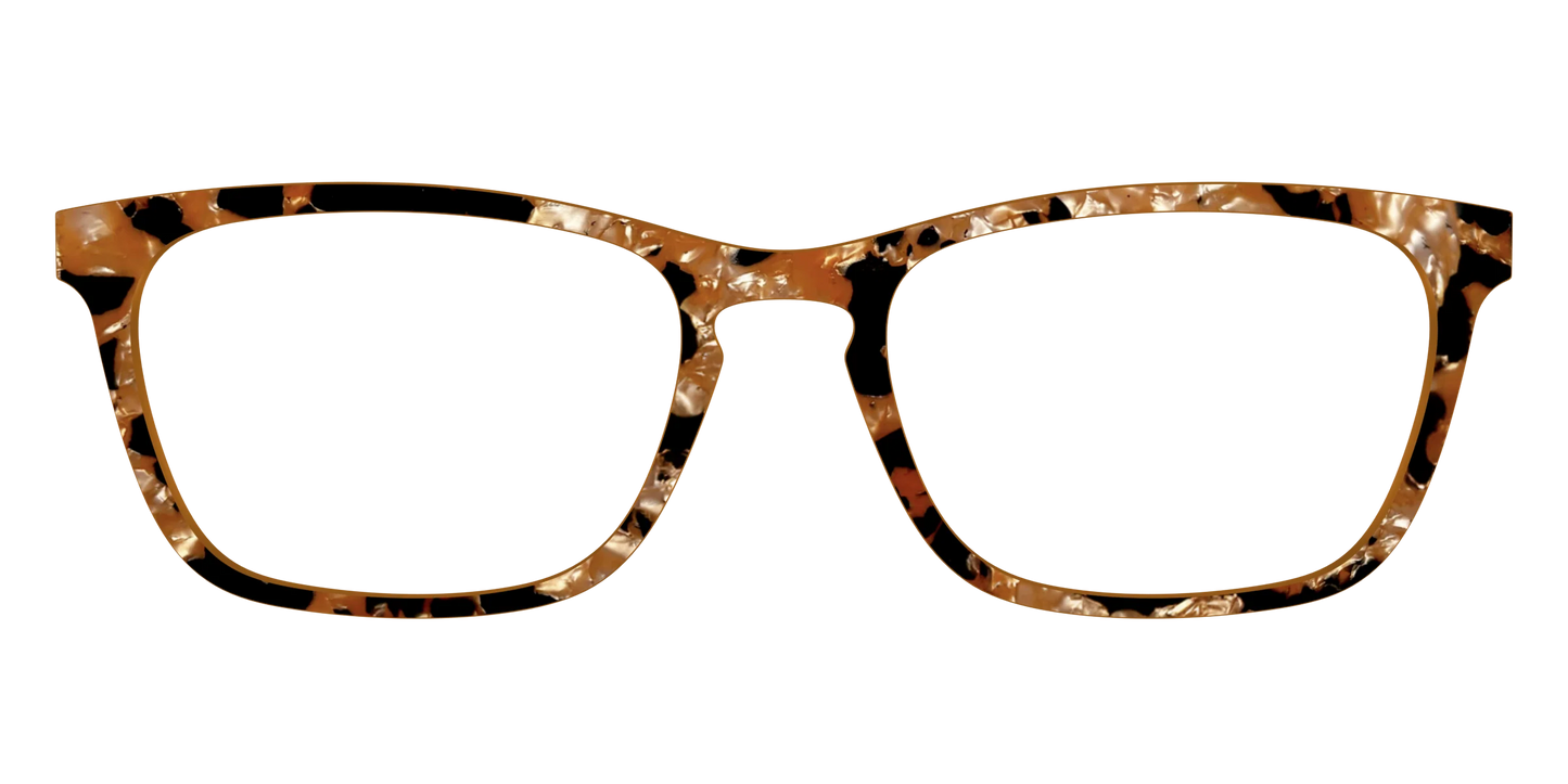 The Caramel Pearl Tortoise
