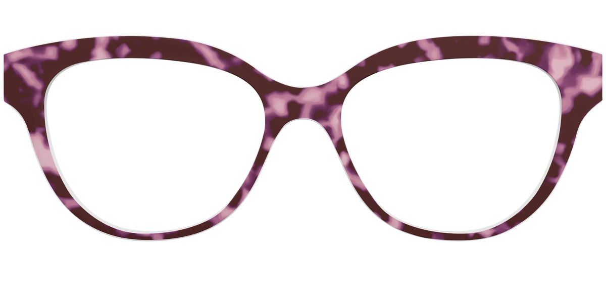 The Maroon Tortoise