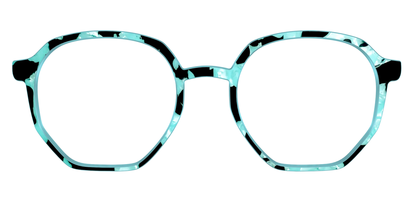 The Robin's Egg Pearl Tortoise