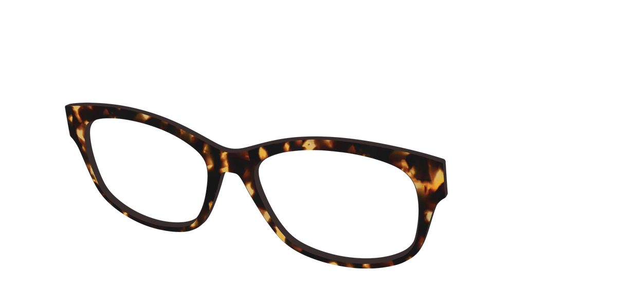 The Tortoise