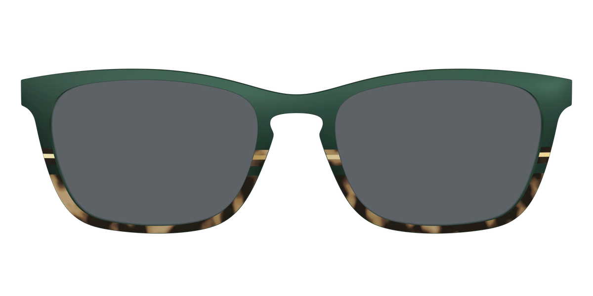 The Polarized Spruce Tortoise Sun Top