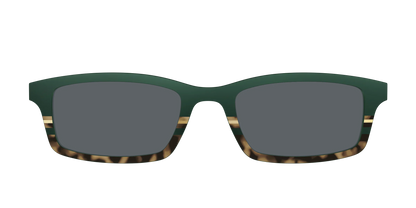 The Polarized Spruce Tortoise Sun Top