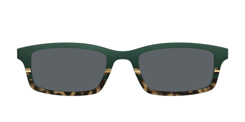 The Polarized Spruce Tortoise Sun Top