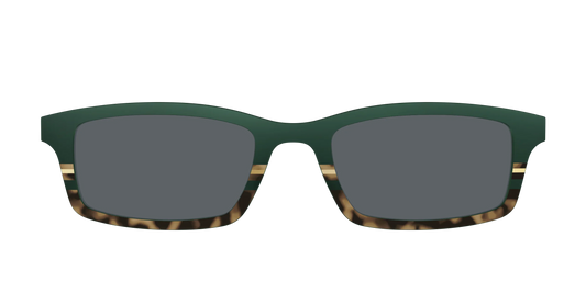 The Polarized Spruce Tortoise Sun Top
