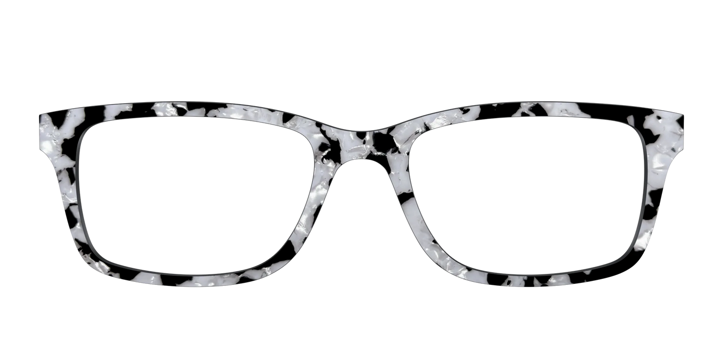 The Black & White Pearl Tortoise