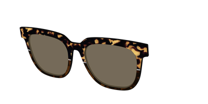 The Polarized Chic Tortoise Split Sun Top