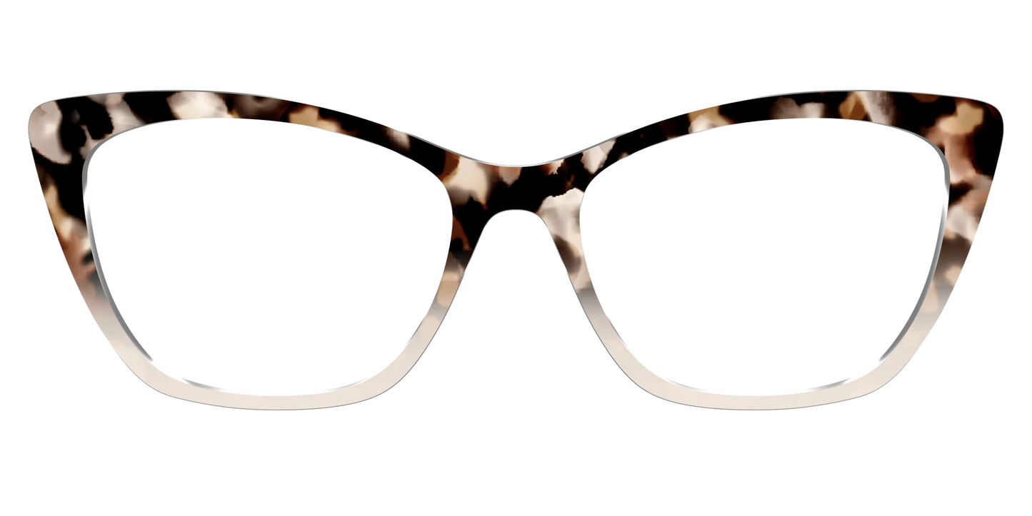 The Vanilla Latte Tortoise