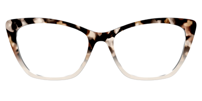 The Vanilla Latte Tortoise
