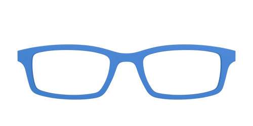 The Cornflower Blue