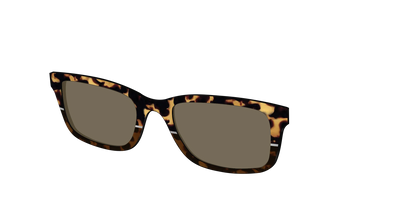 The Polarized Chic Tortoise Split Sun Top