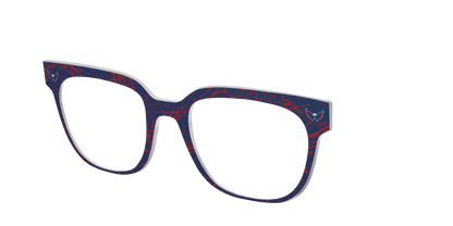The Capitals® Ice