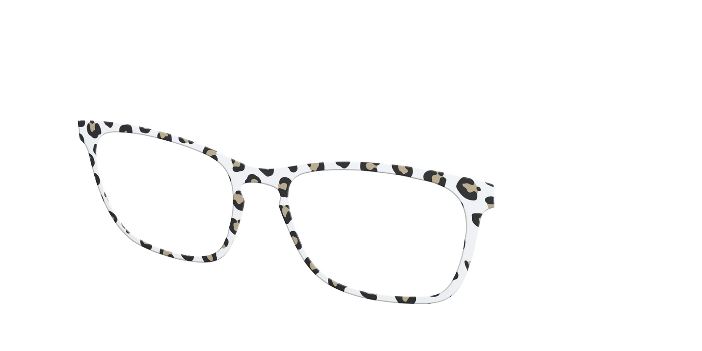 The Classic Cheetah