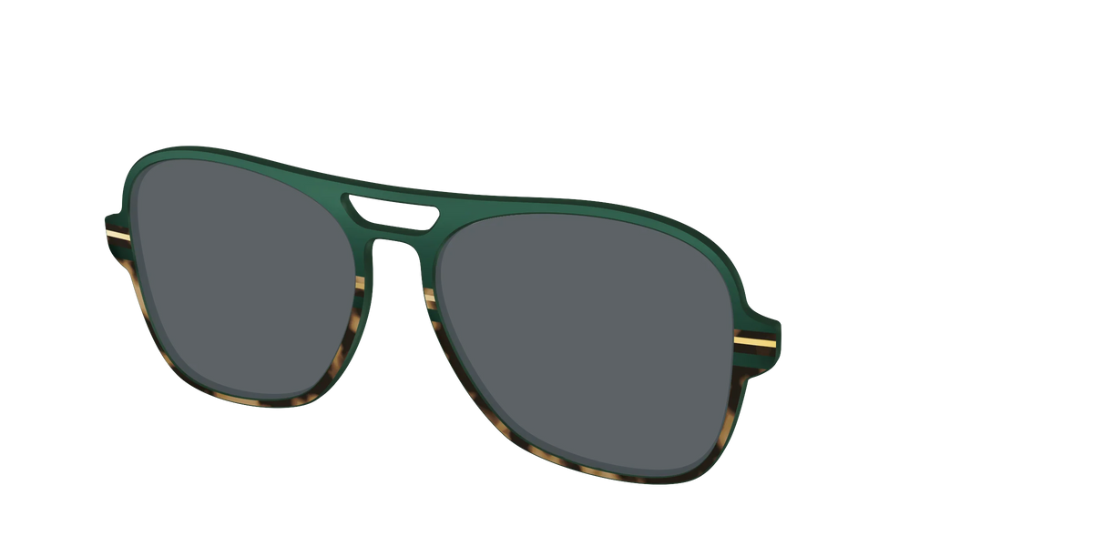 The Polarized Spruce Tortoise Sun Top