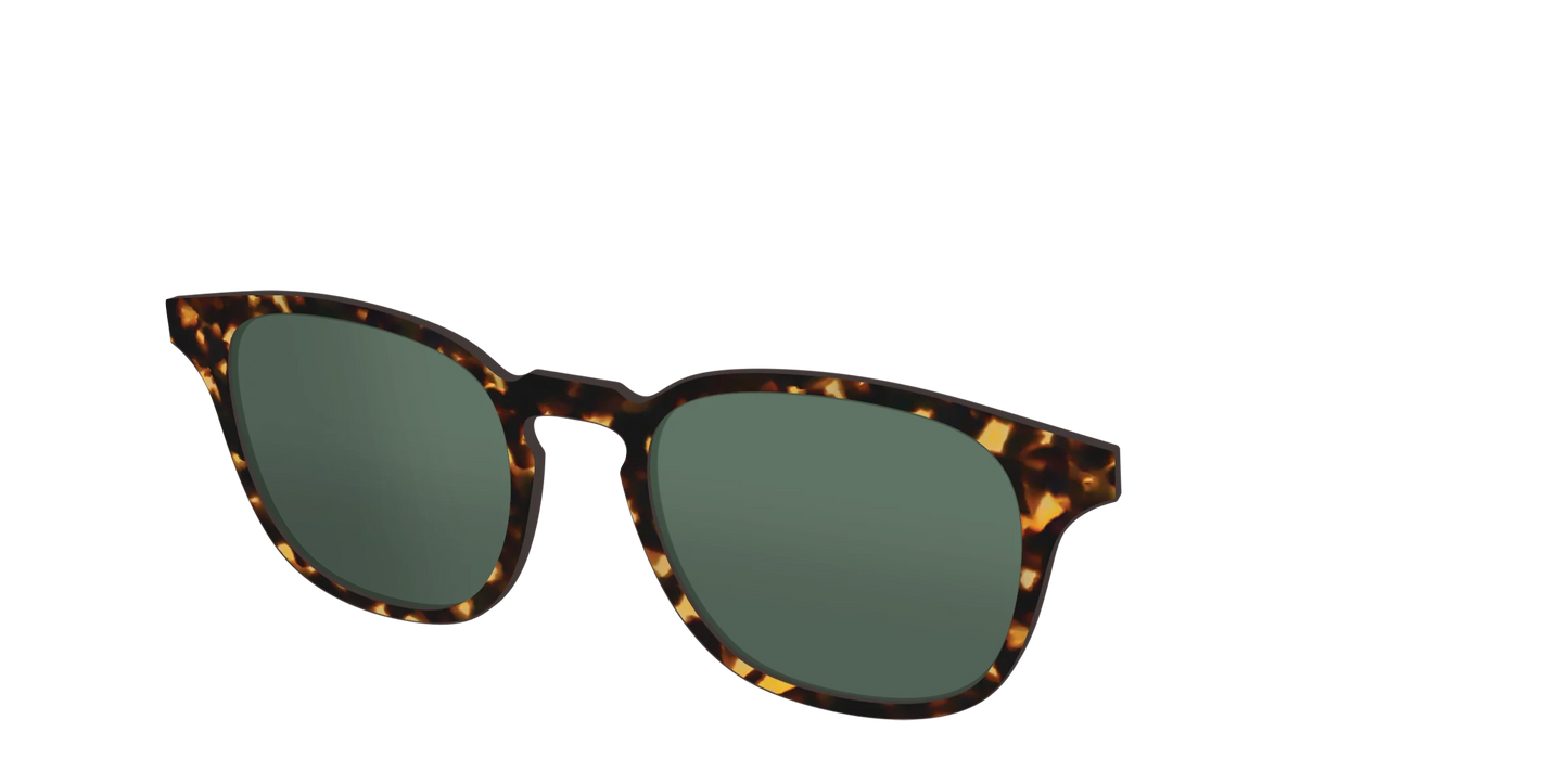 The Non-Polarized Green Tortoise Sun Top