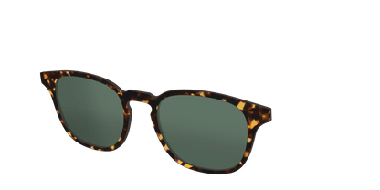 The Non-Polarized Green Tortoise Sun Top