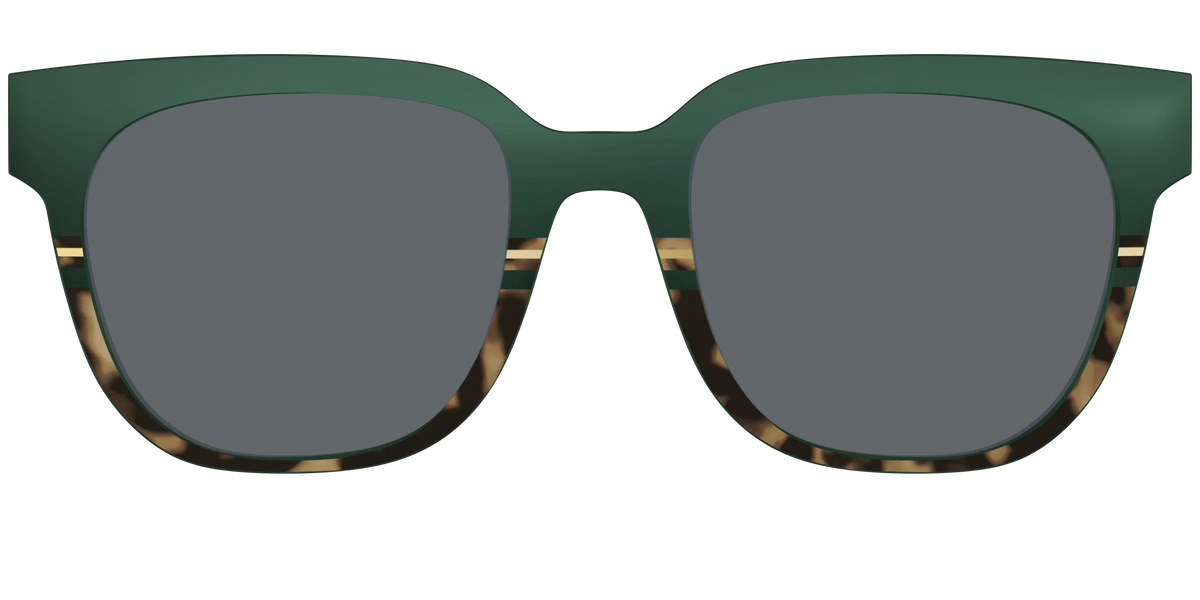 The Polarized Spruce Tortoise Sun Top
