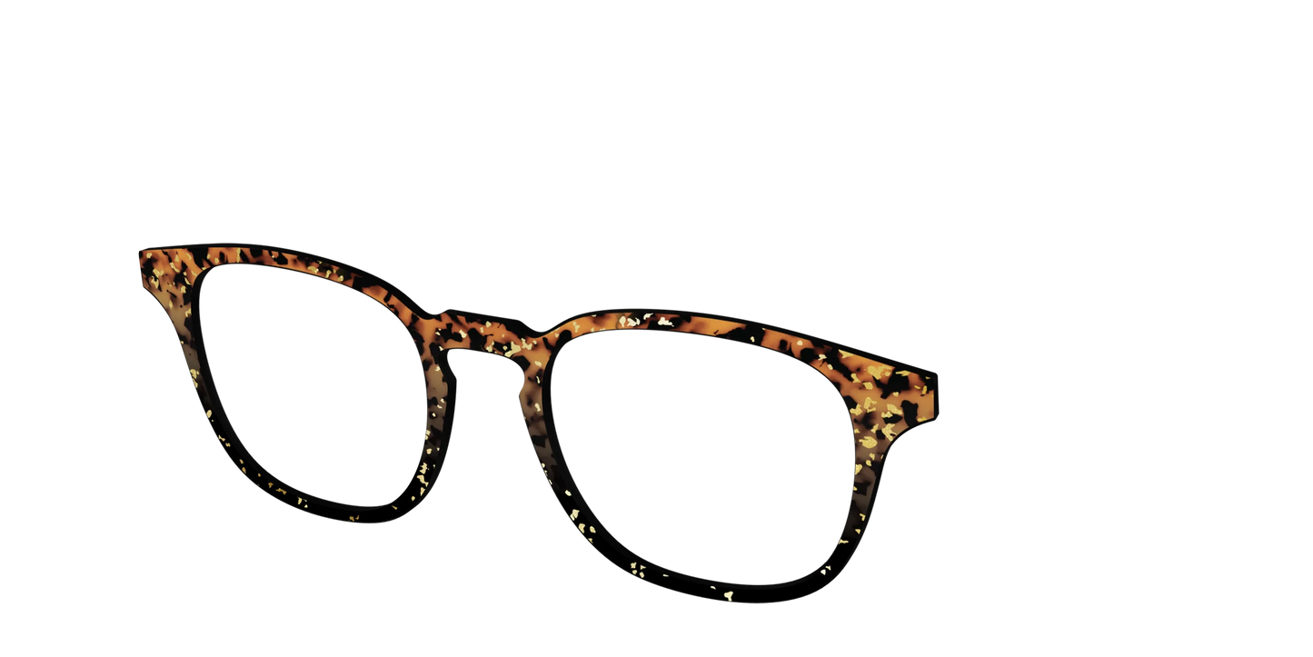 The Rustic Gold Leaf Tortoise