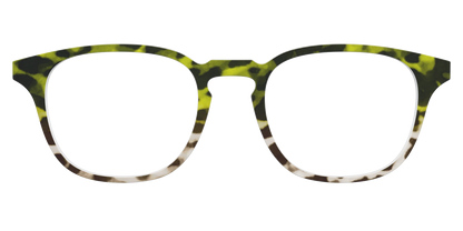 The Avocado to Ivory Tortoise