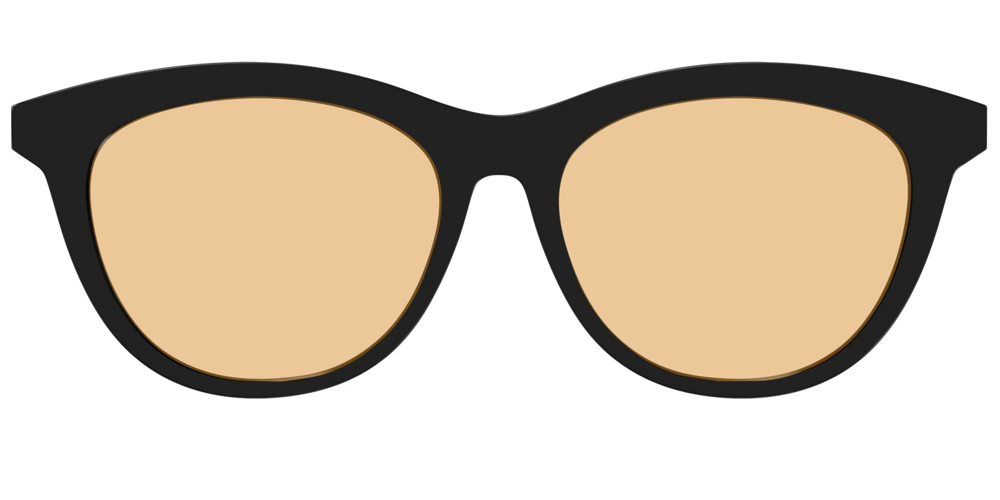 The Black With Umber Brown Lens