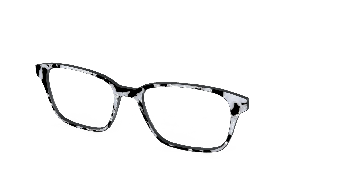 The Black & White Pearl Tortoise