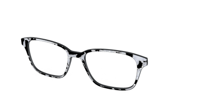 The Black & White Pearl Tortoise
