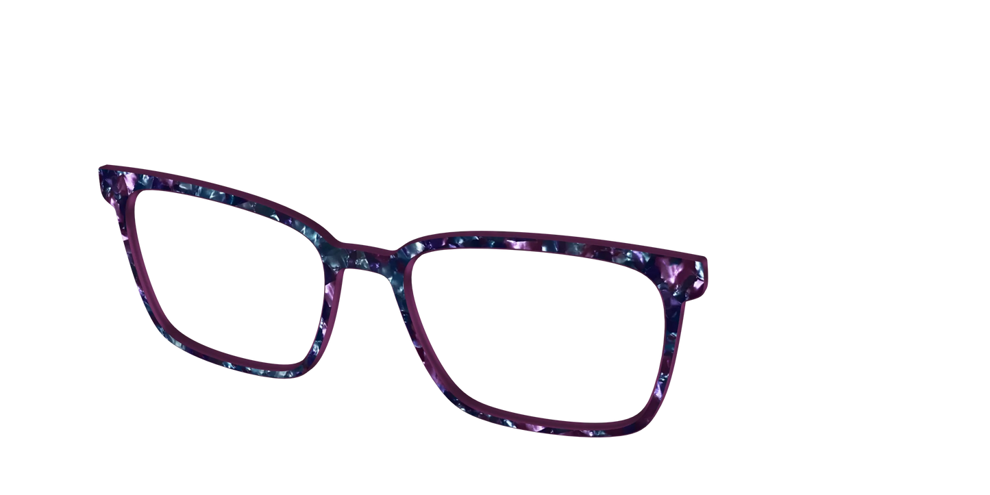 The Black Opal Pearl Tortoise
