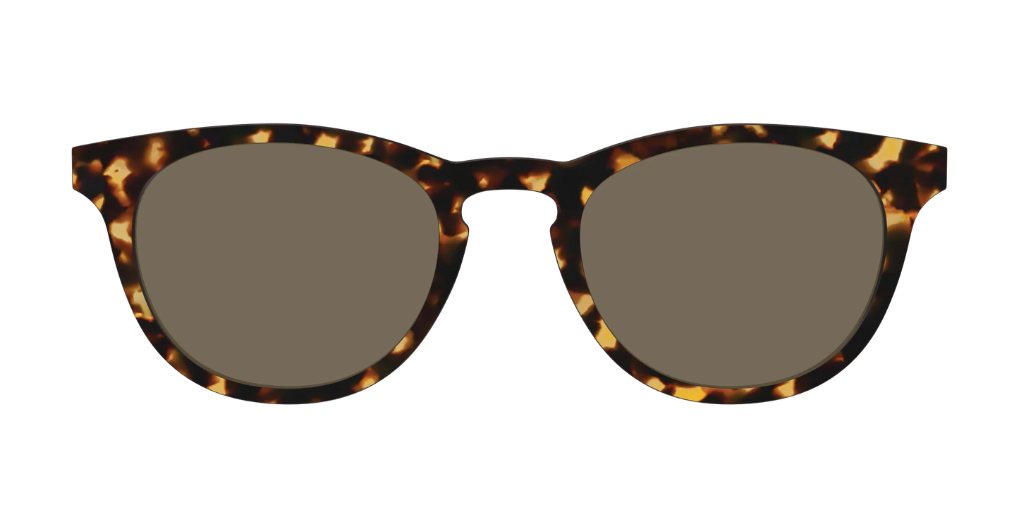 The Non-Polarized Tortoise Sun Top
