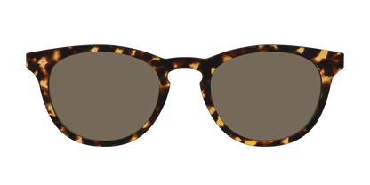 The Non-Polarized Tortoise Sun Top