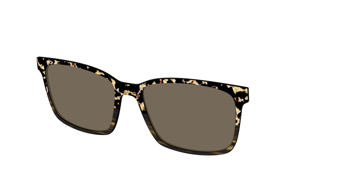 The Polarized Caramel Tortoise Horn Split Sun Top