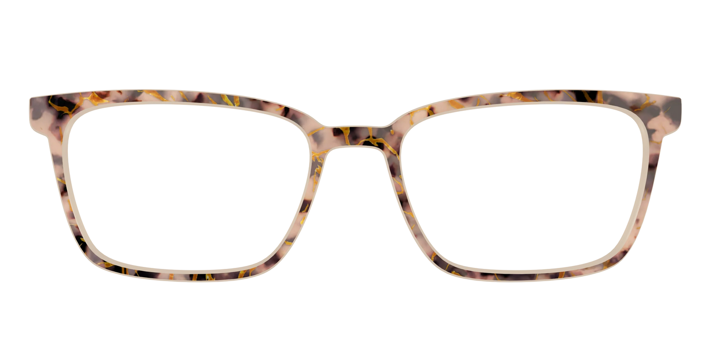 The Almond Tortoise with Gold Streaks