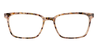 The Almond Tortoise with Gold Streaks