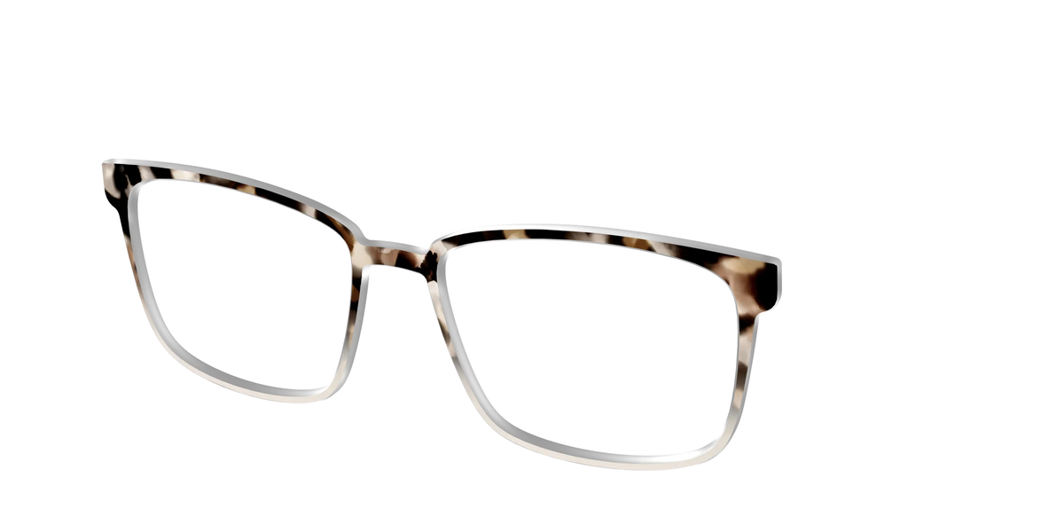 The Vanilla Latte Tortoise