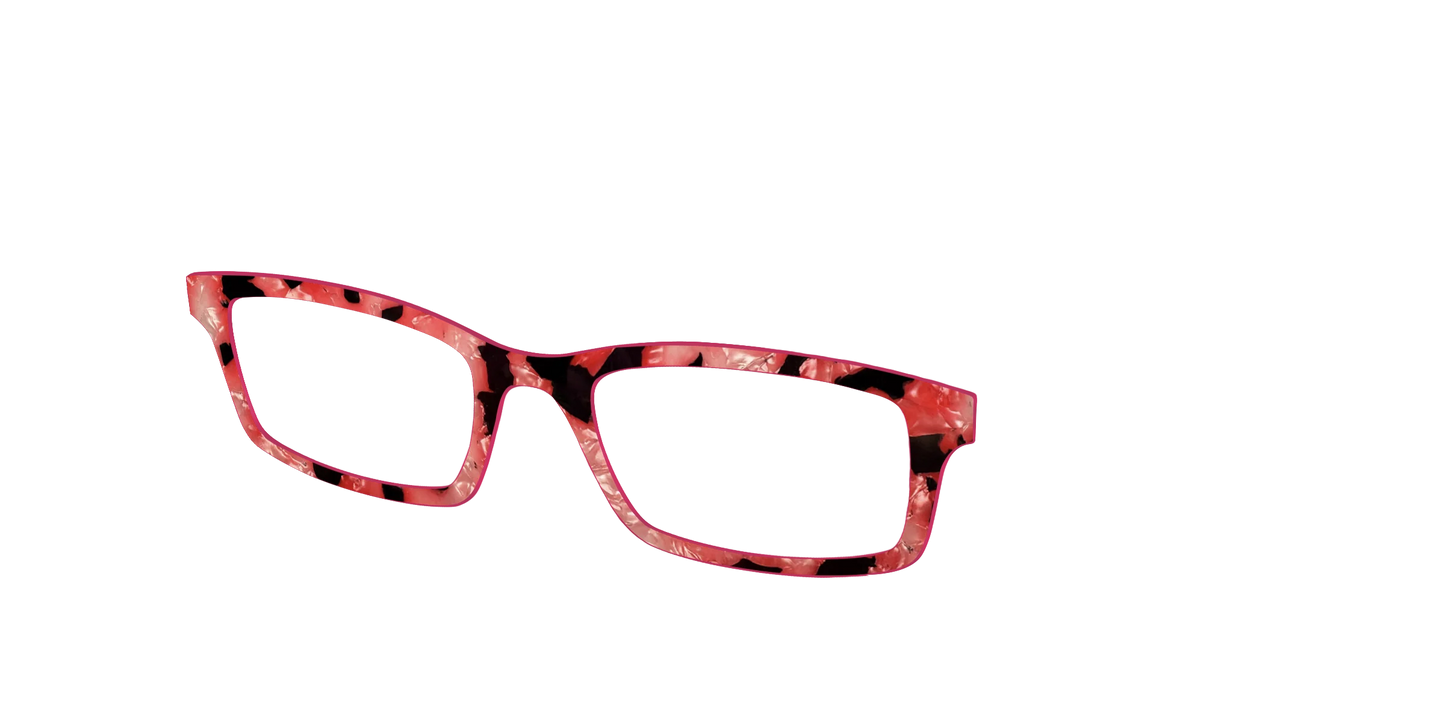 The Red Agate Pearl Tortoise