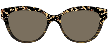 The Polarized Caramel Tortoise Horn Split Sun Top