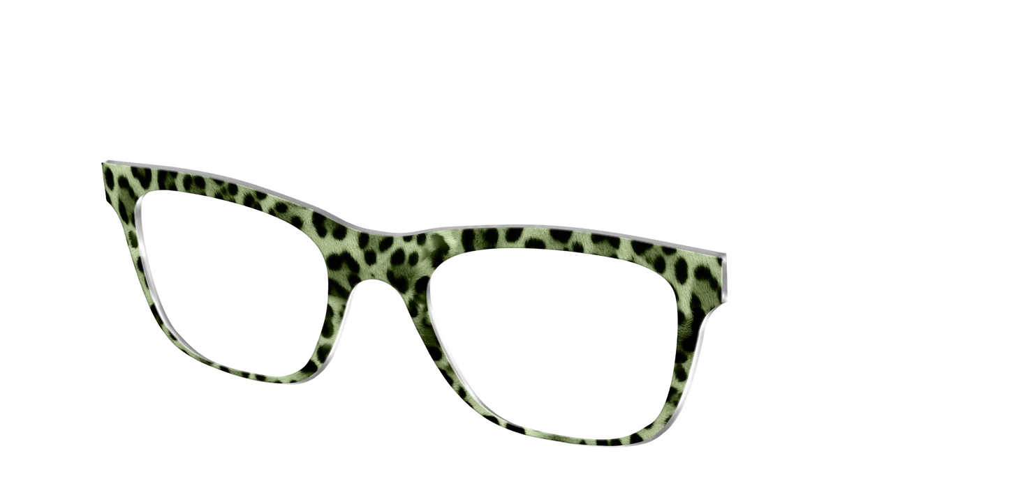 The Lucky Leopard